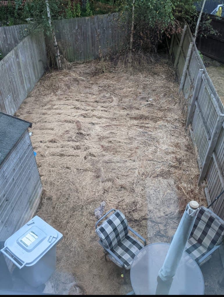 Cleared, cut-back ground ready for groundworks on the previously overgrown Forge Lane, Congleton slope