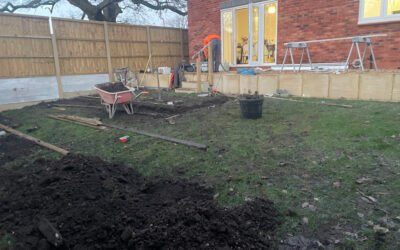 Transforming Your Outdoor Space: A Journey from Dirt to Dream Garden