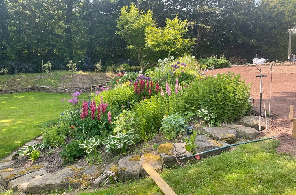 Flower beds Cheshire - professional planting scheme in a Cheshire garden