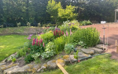 “Enhancing Your Cheshire Garden: A Guide to Landscape Gardening in 2025