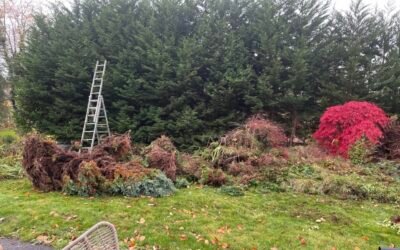 EATON HOUSE CONGELTON