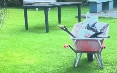 New Lawn Installation and Gravel Driveway in Knutsford