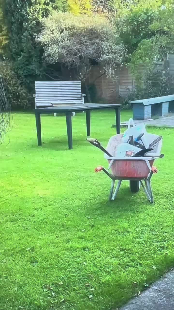 20% OFF new build garden transformations #wilmslow #Cheshire #congelton #manchesterunited #manchestercity   created by Jason with Jason's original sound - Jason